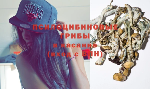 ГАЛЛЮЦИНОГЕННЫЕ ГРИБЫ Абдулино
